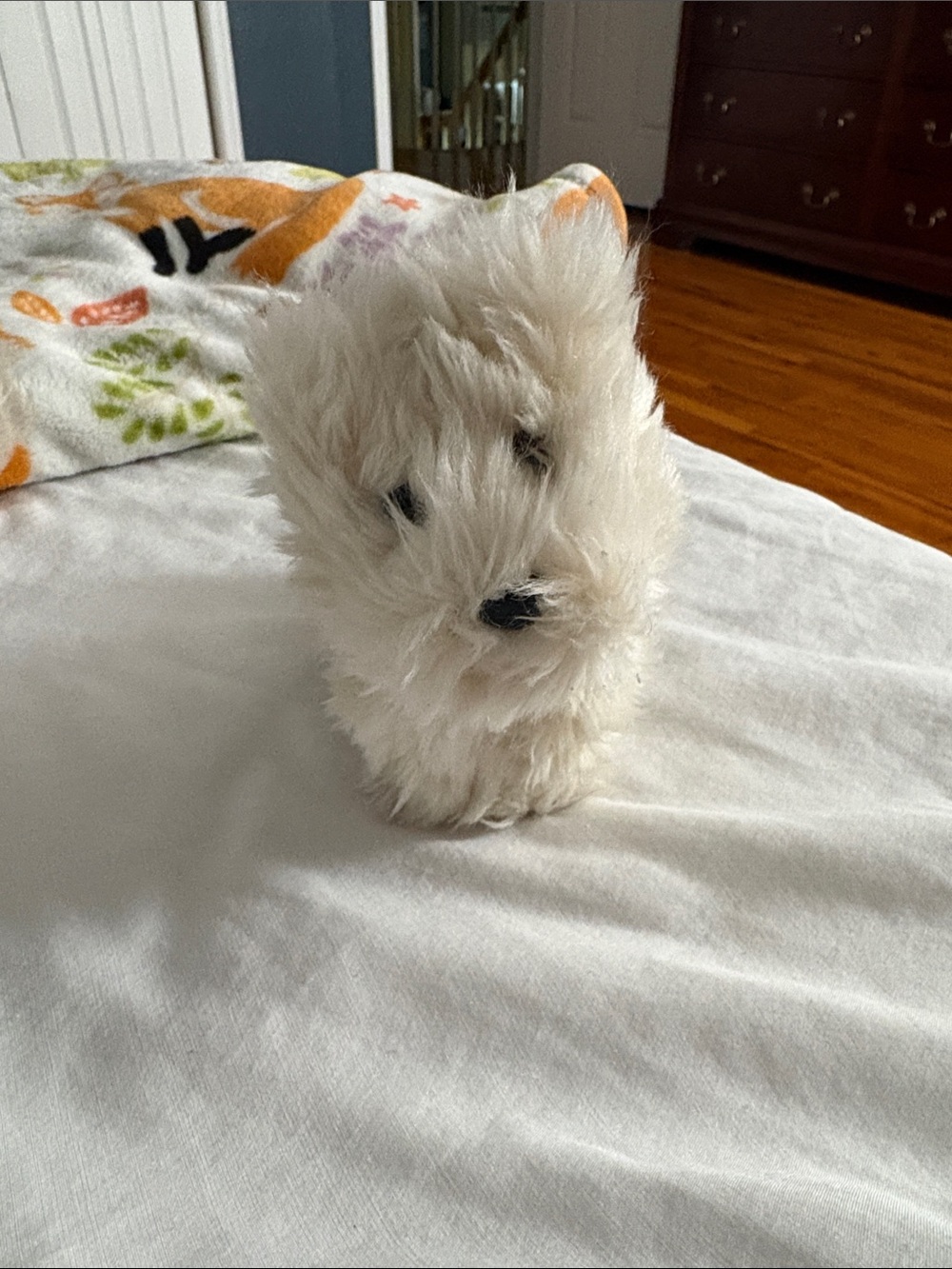 American Girl Dog Coconut Plush
